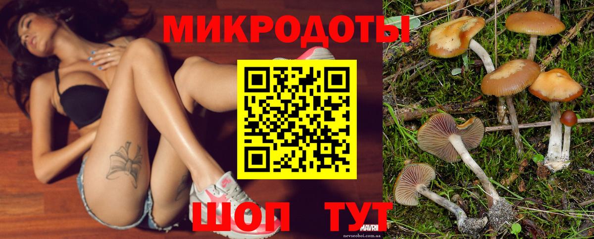 Дубна  сколько стоит  Вход с VPN  Псилоцибиновые грибы Magic Shrooms 