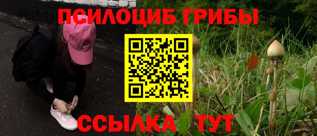 Галлюциногенные грибы мицелий Дубна